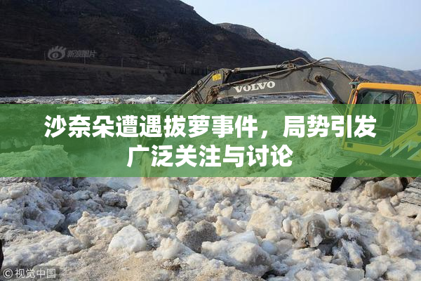 沙奈朵遭遇拔萝事件，局势引发广泛关注与讨论