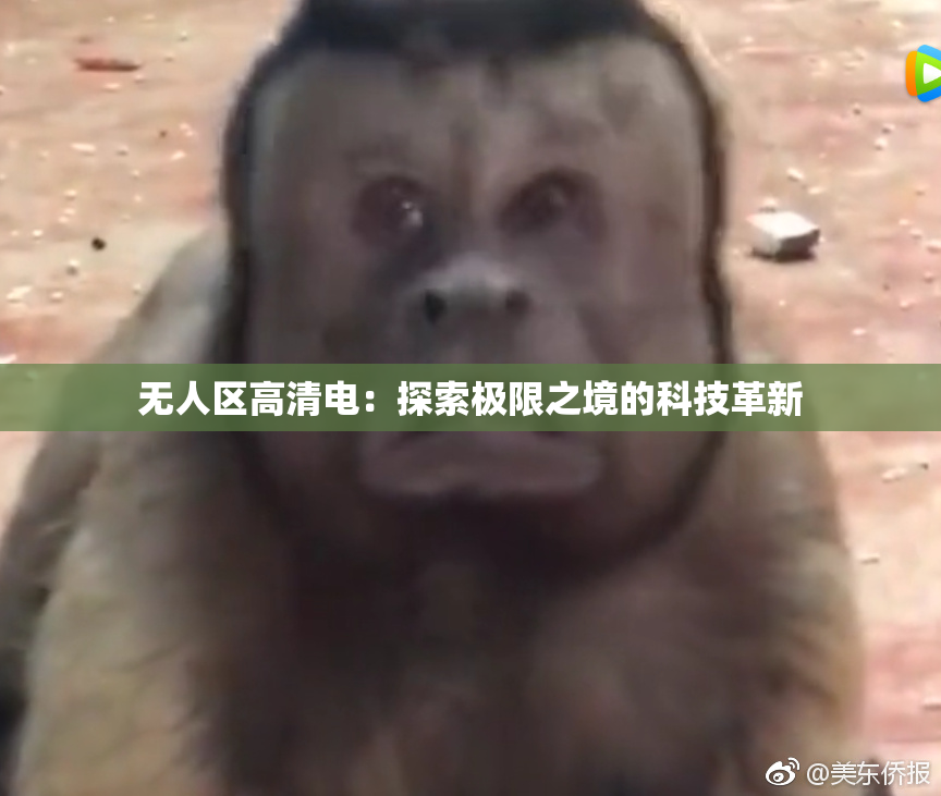 无人区高清电：探索极限之境的科技革新