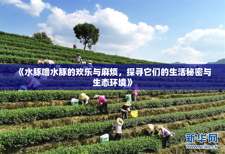 《水豚噜水豚的欢乐与麻烦，探寻它们的生活秘密与生态环境》