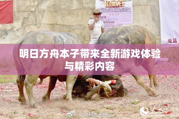 明日方舟本子带来全新游戏体验与精彩内容
