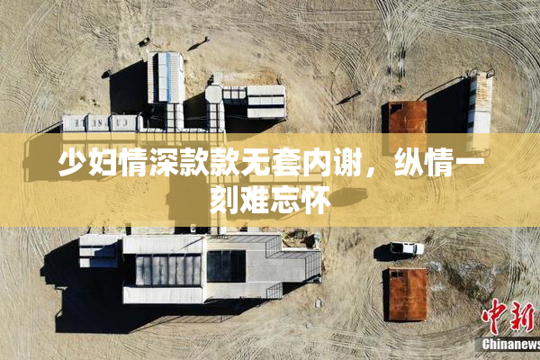 少妇情深款款无套内谢，纵情一刻难忘怀