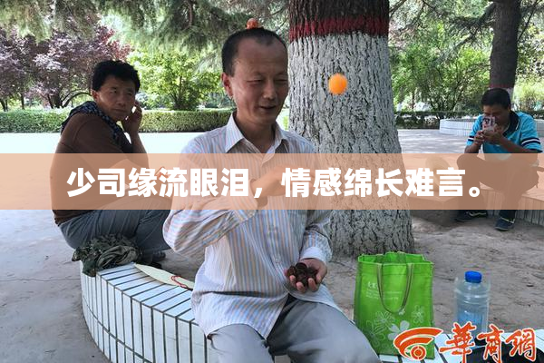 少司缘流眼泪，情感绵长难言。