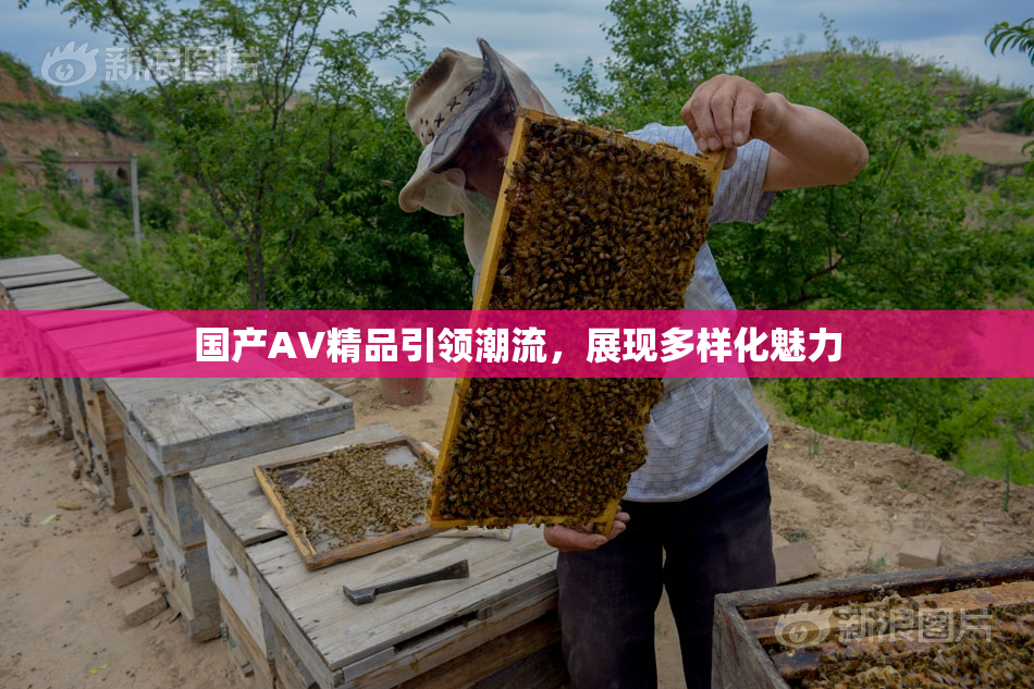 国产AV精品引领潮流，展现多样化魅力