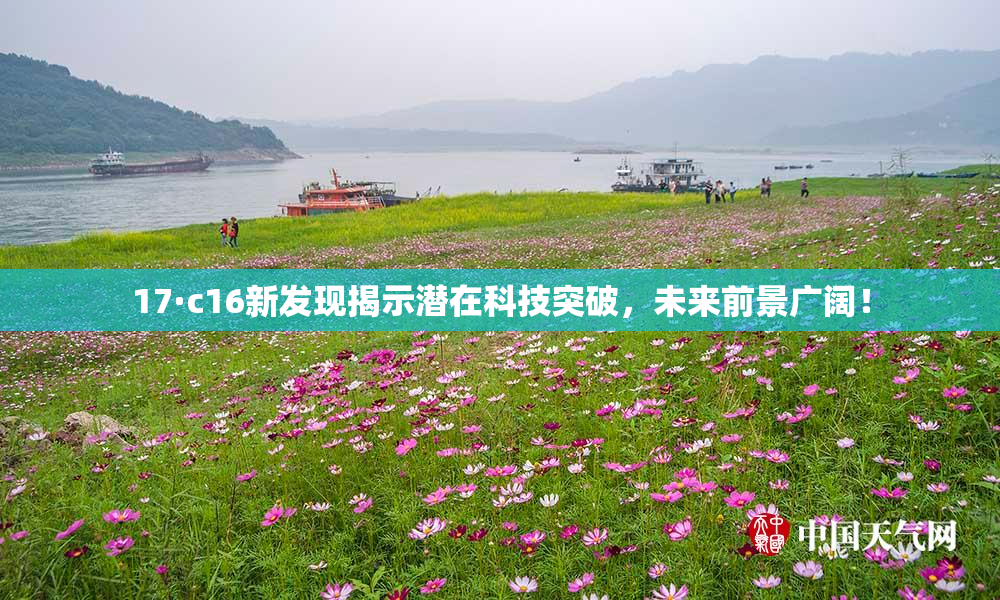 17·c16新发现揭示潜在科技突破，未来前景广阔！