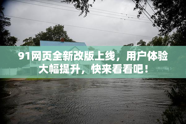 91网页全新改版上线，用户体验大幅提升，快来看看吧！