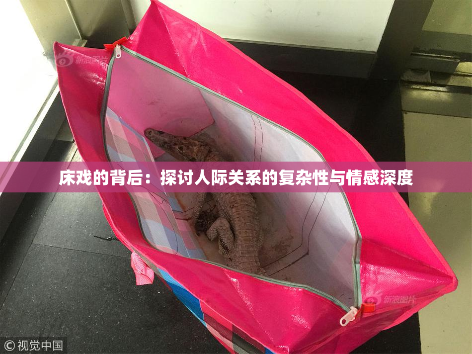 床戏的背后：探讨人际关系的复杂性与情感深度