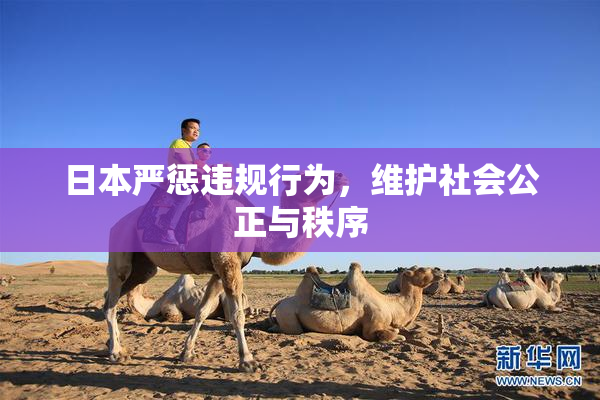 日本严惩违规行为，维护社会公正与秩序