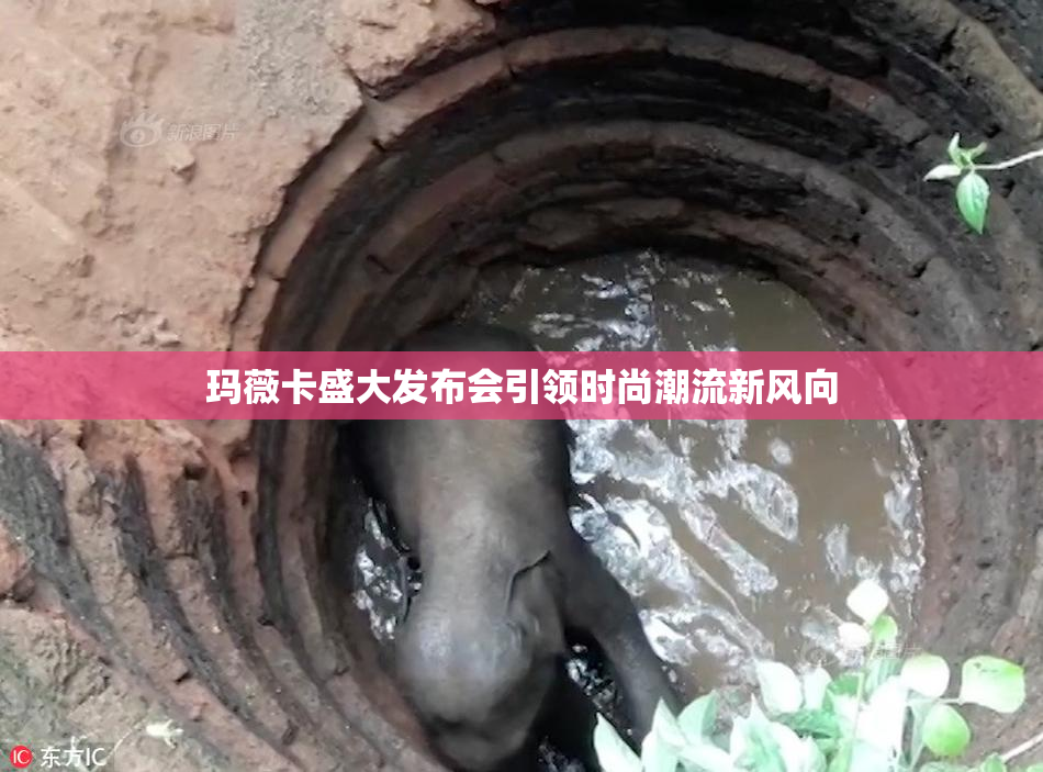玛薇卡盛大发布会引领时尚潮流新风向