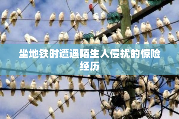 坐地铁时遭遇陌生人侵扰的惊险经历