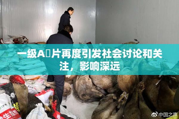 一级A婬片再度引发社会讨论和关注，影响深远