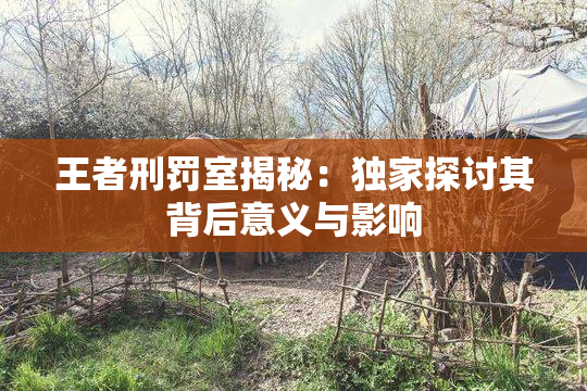 王者刑罚室揭秘：独家探讨其背后意义与影响