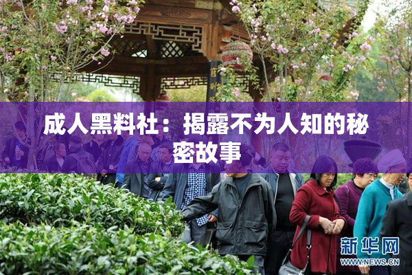 成人黑料社：揭露不为人知的秘密故事