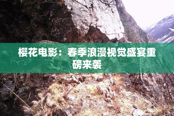 樱花电影：春季浪漫视觉盛宴重磅来袭