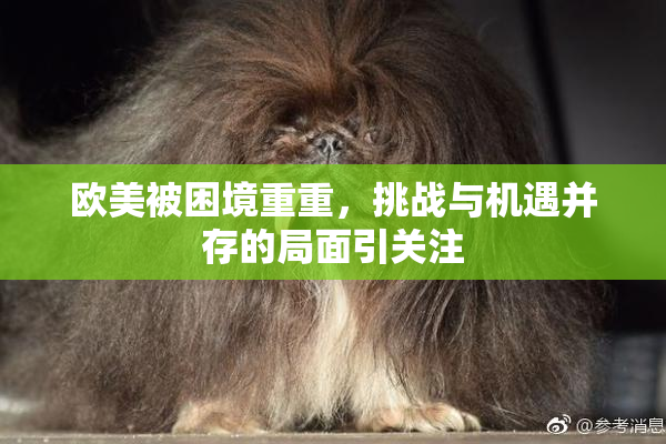 欧美被困境重重，挑战与机遇并存的局面引关注