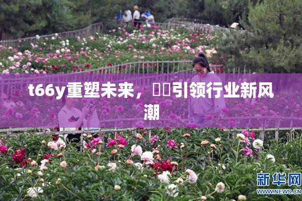 t66y重塑未来，逹葢引领行业新风潮