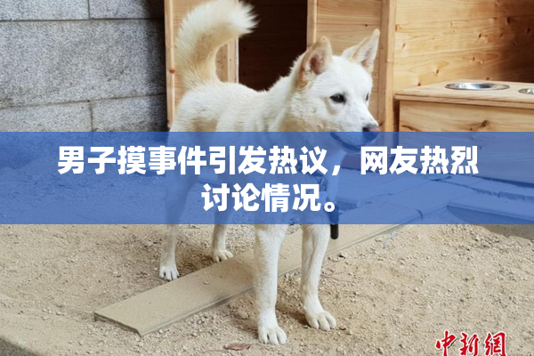 男子摸事件引发热议，网友热烈讨论情况。