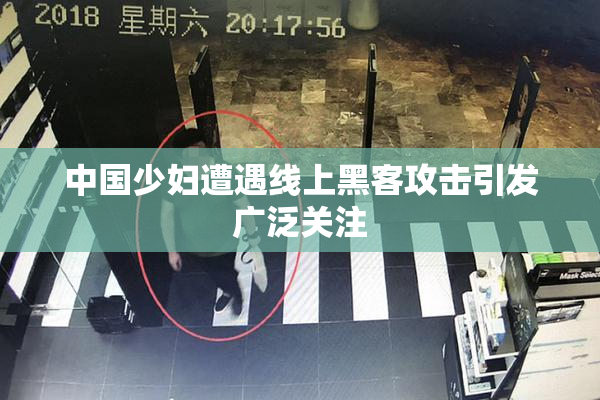 中国少妇遭遇线上黑客攻击引发广泛关注