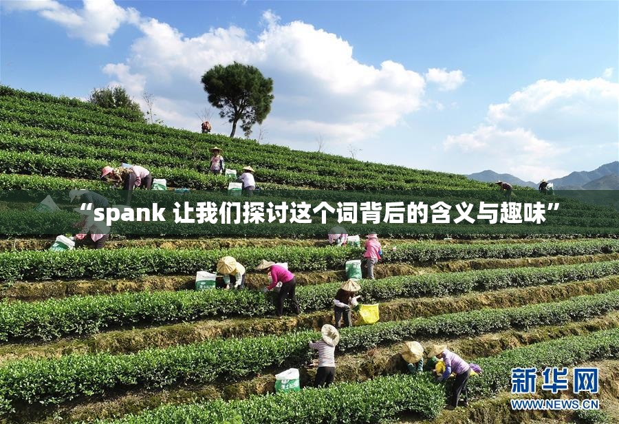 “spank 让我们探讨这个词背后的含义与趣味”