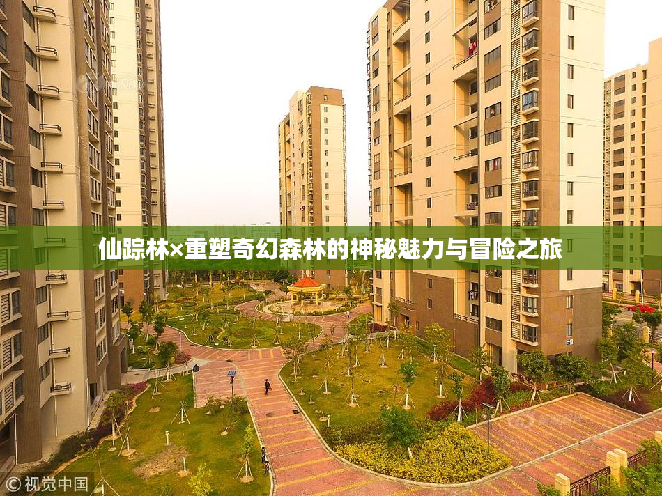 仙踪林×重塑奇幻森林的神秘魅力与冒险之旅
