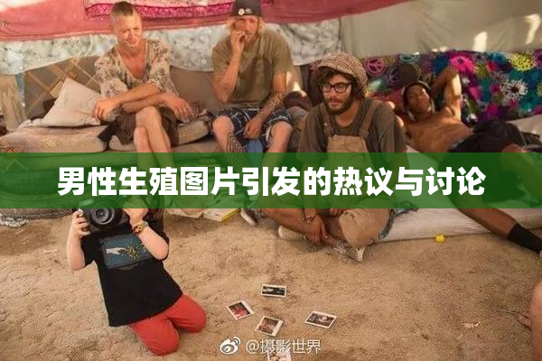 男性生殖图片引发的热议与讨论