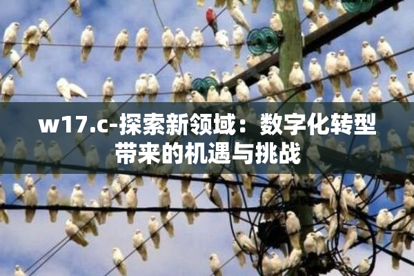 w17.c-探索新领域：数字化转型带来的机遇与挑战