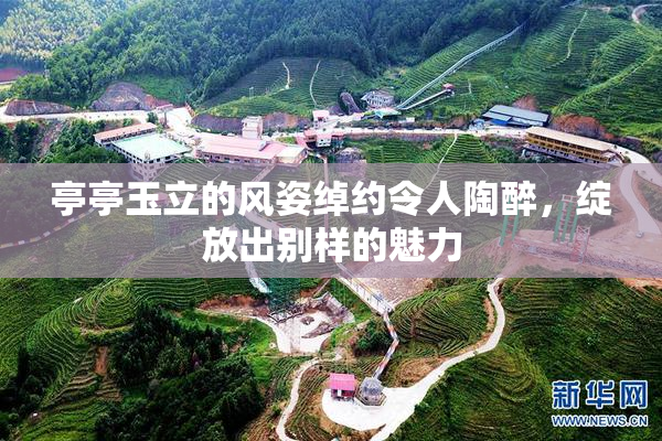 亭亭玉立的风姿绰约令人陶醉，绽放出别样的魅力