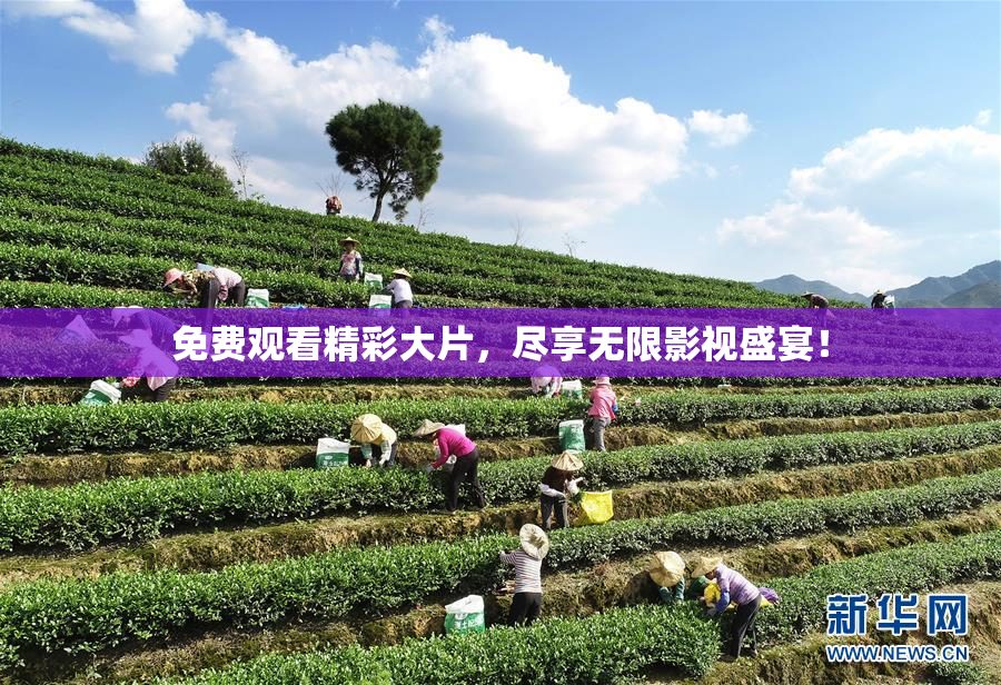 免费观看精彩大片，尽享无限影视盛宴！