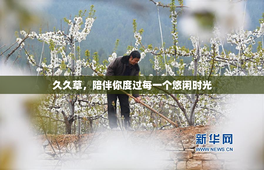 久久草，陪伴你度过每一个悠闲时光