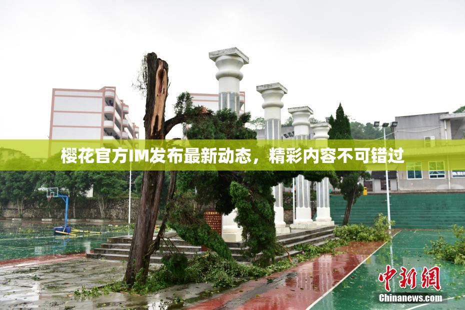 樱花官方IM发布最新动态，精彩内容不可错过