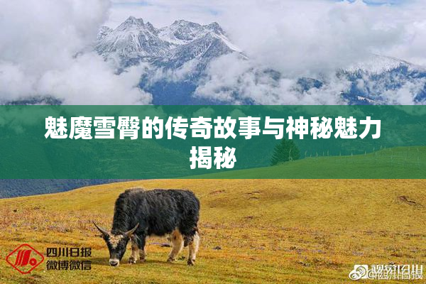 魅魔雪臀的传奇故事与神秘魅力揭秘