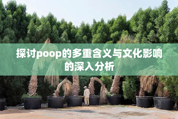 探讨poop的多重含义与文化影响的深入分析