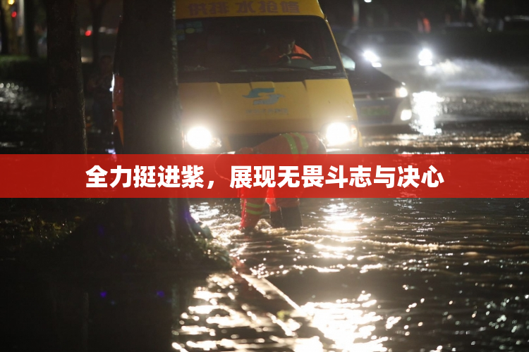 全力挺进紫，展现无畏斗志与决心