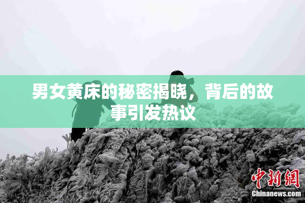 男女黄床的秘密揭晓，背后的故事引发热议
