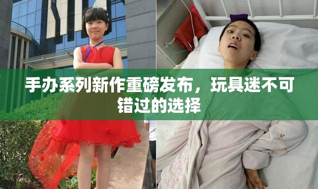 手办系列新作重磅发布，玩具迷不可错过的选择