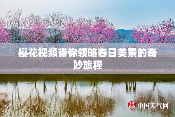 樱花视频带你领略春日美景的奇妙旅程