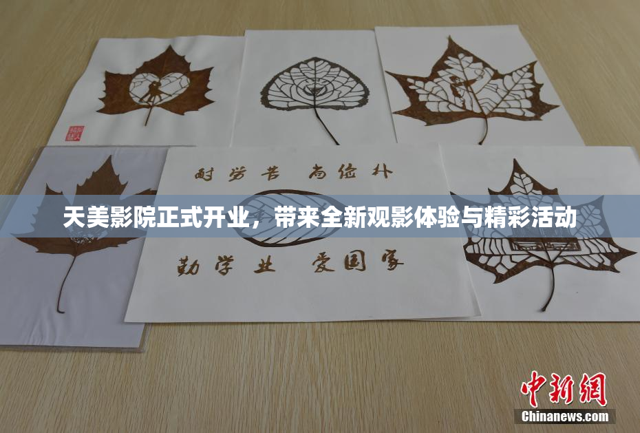 天美影院正式开业，带来全新观影体验与精彩活动
