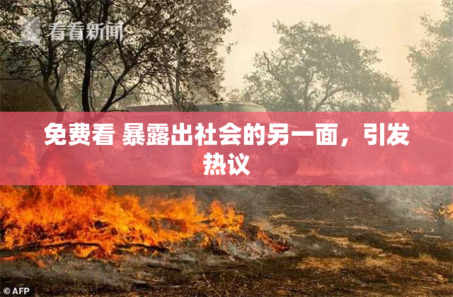 免费看 暴露出社会的另一面，引发热议