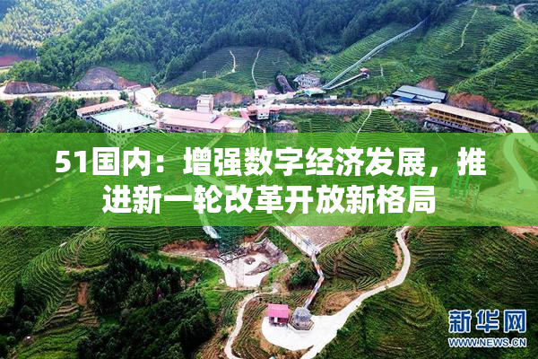 51国内：增强数字经济发展，推进新一轮改革开放新格局