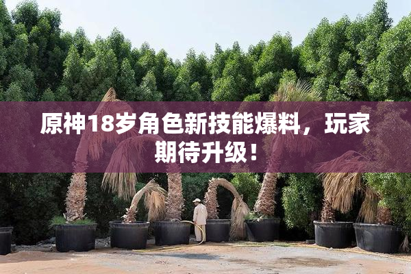 原神18岁角色新技能爆料，玩家期待升级！