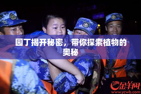 园丁揭开秘密，带你探索植物的奥秘