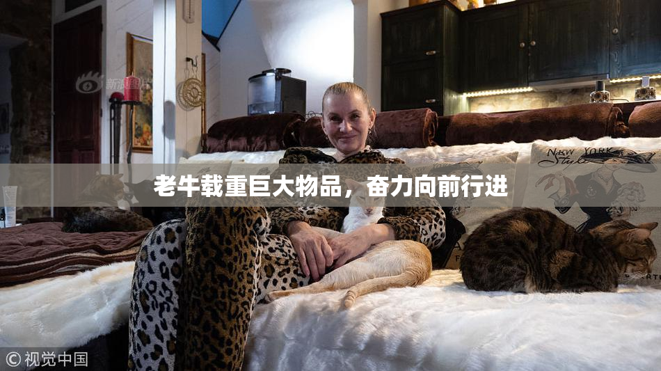 老牛载重巨大物品，奋力向前行进