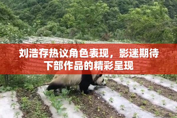 刘浩存热议角色表现，影迷期待下部作品的精彩呈现