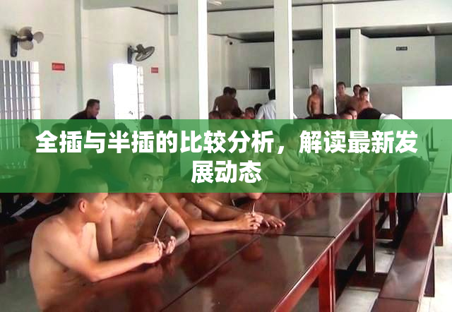 全插与半插的比较分析，解读最新发展动态