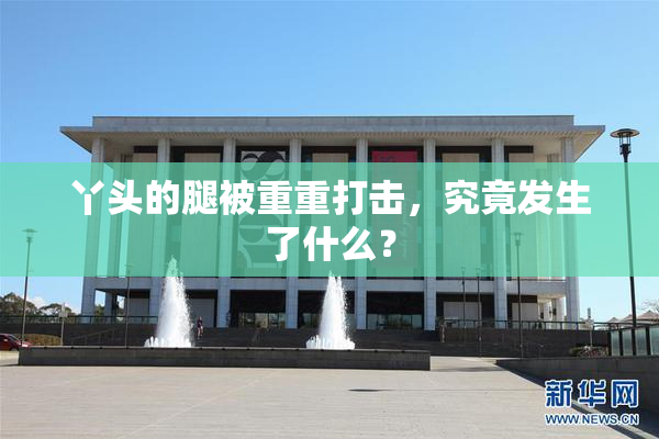 丫头的腿被重重打击，究竟发生了什么？