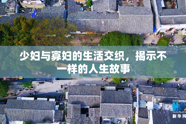 少妇与寡妇的生活交织，揭示不一样的人生故事