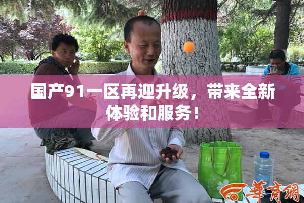 国产91一区再迎升级，带来全新体验和服务！