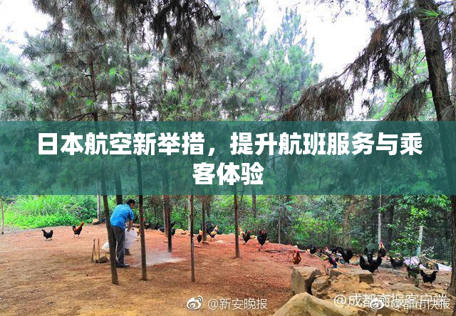 日本航空新举措，提升航班服务与乘客体验