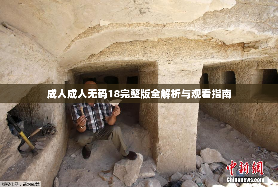 成人成人无码18完整版全解析与观看指南