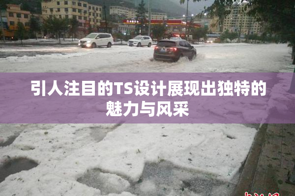 引人注目的TS设计展现出独特的魅力与风采