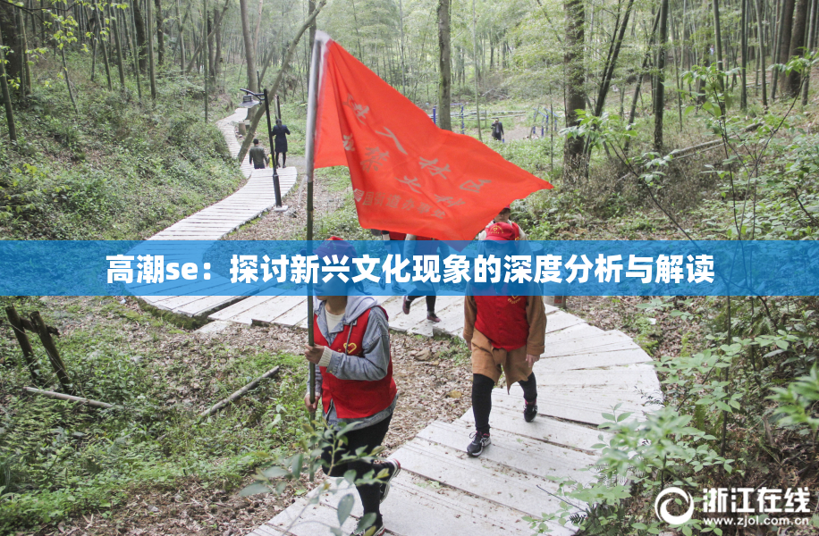 高潮se：探讨新兴文化现象的深度分析与解读